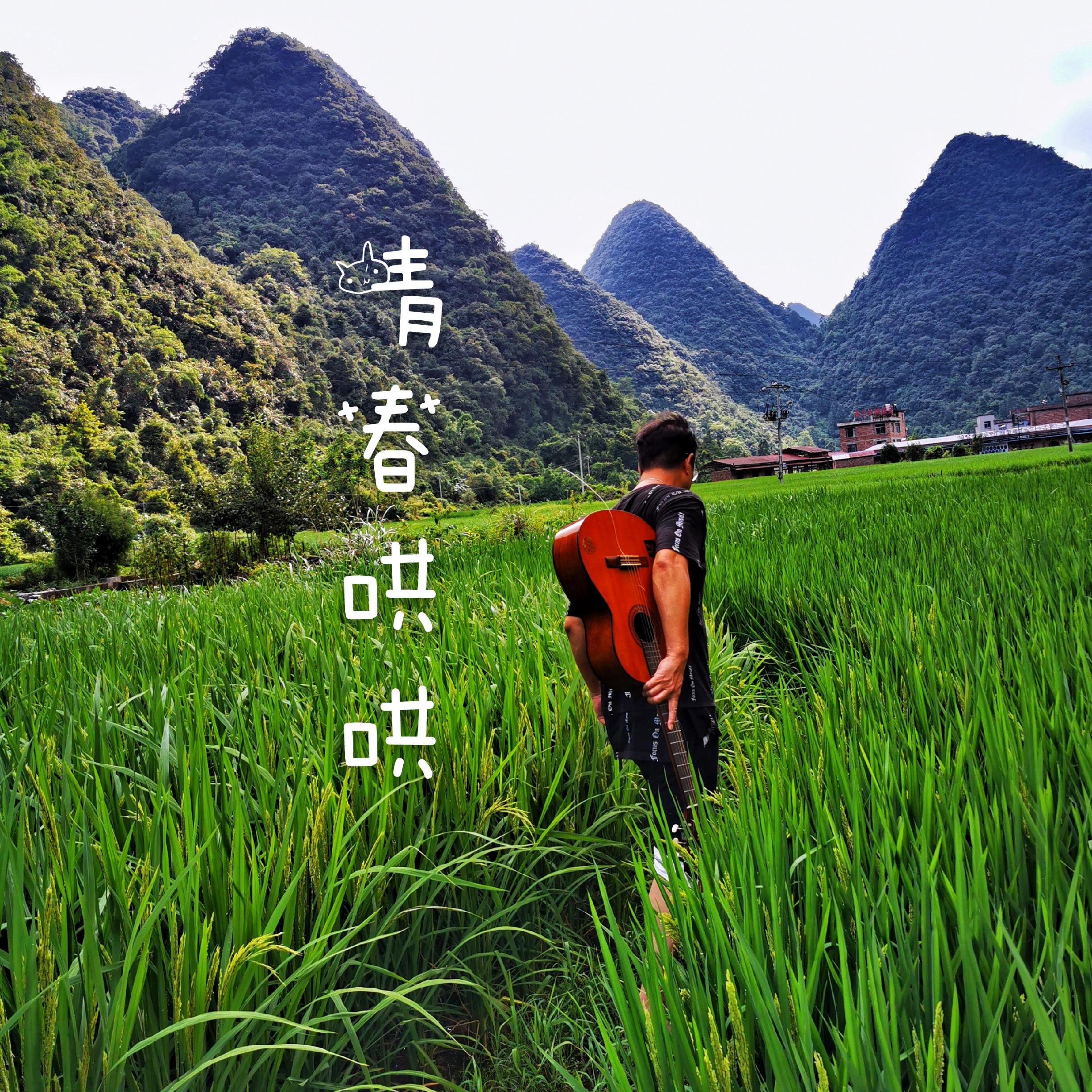 青春哄哄