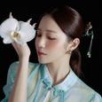 정다경歌手图片