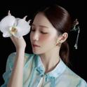정다경