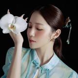정다경