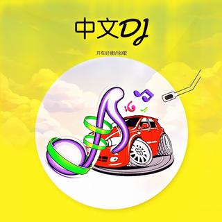 开车时候听的歌 「中文 DJ 版」