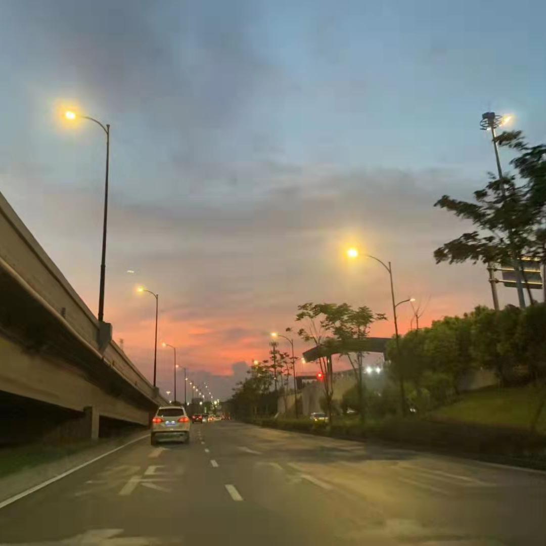 隔壁傻狗