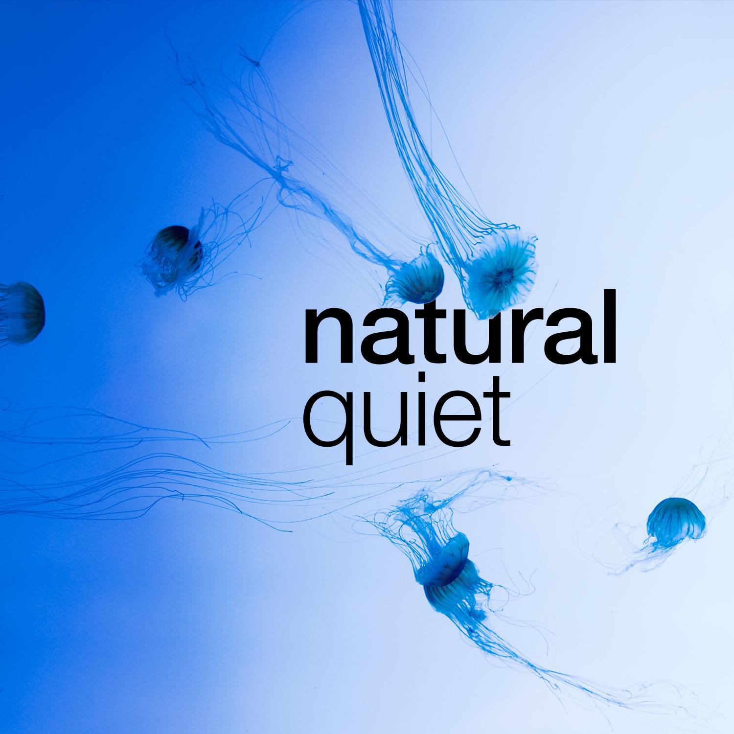 Natural Quiet专辑