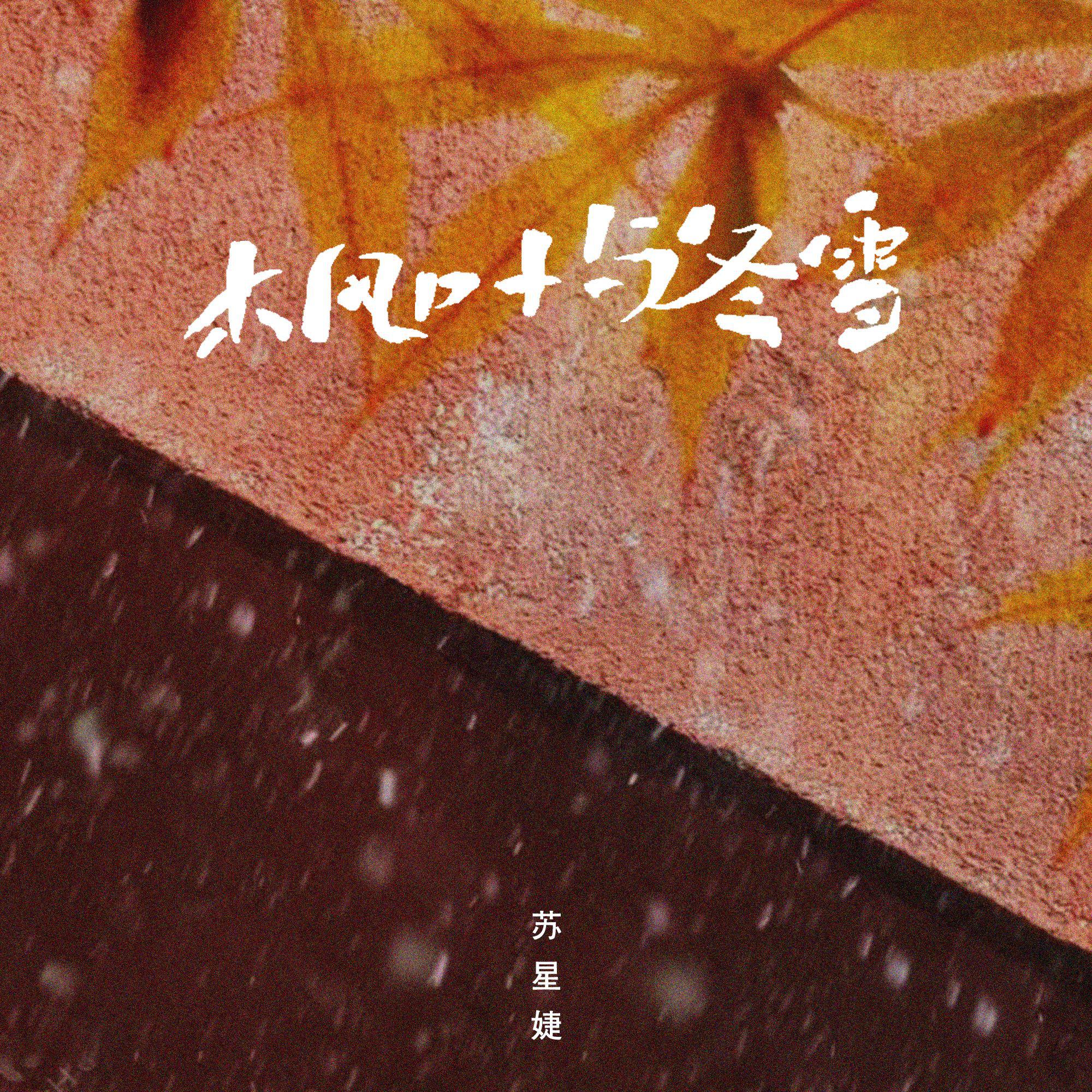 枫叶与冬雪专辑