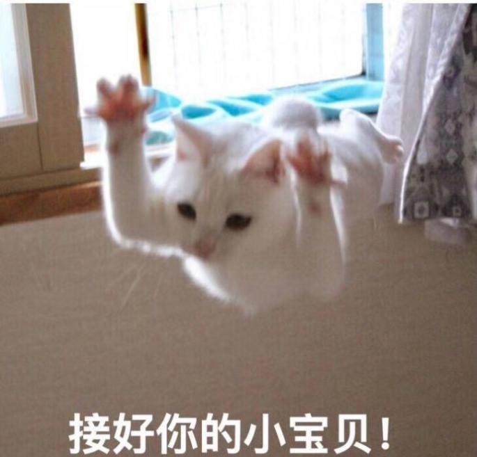 喵云是什么 19117208672546558.jpg?size=685x657