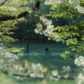待拨云见日，春和景明