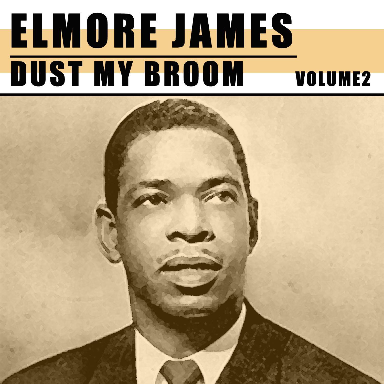 Dust My Broom, Vol. 2