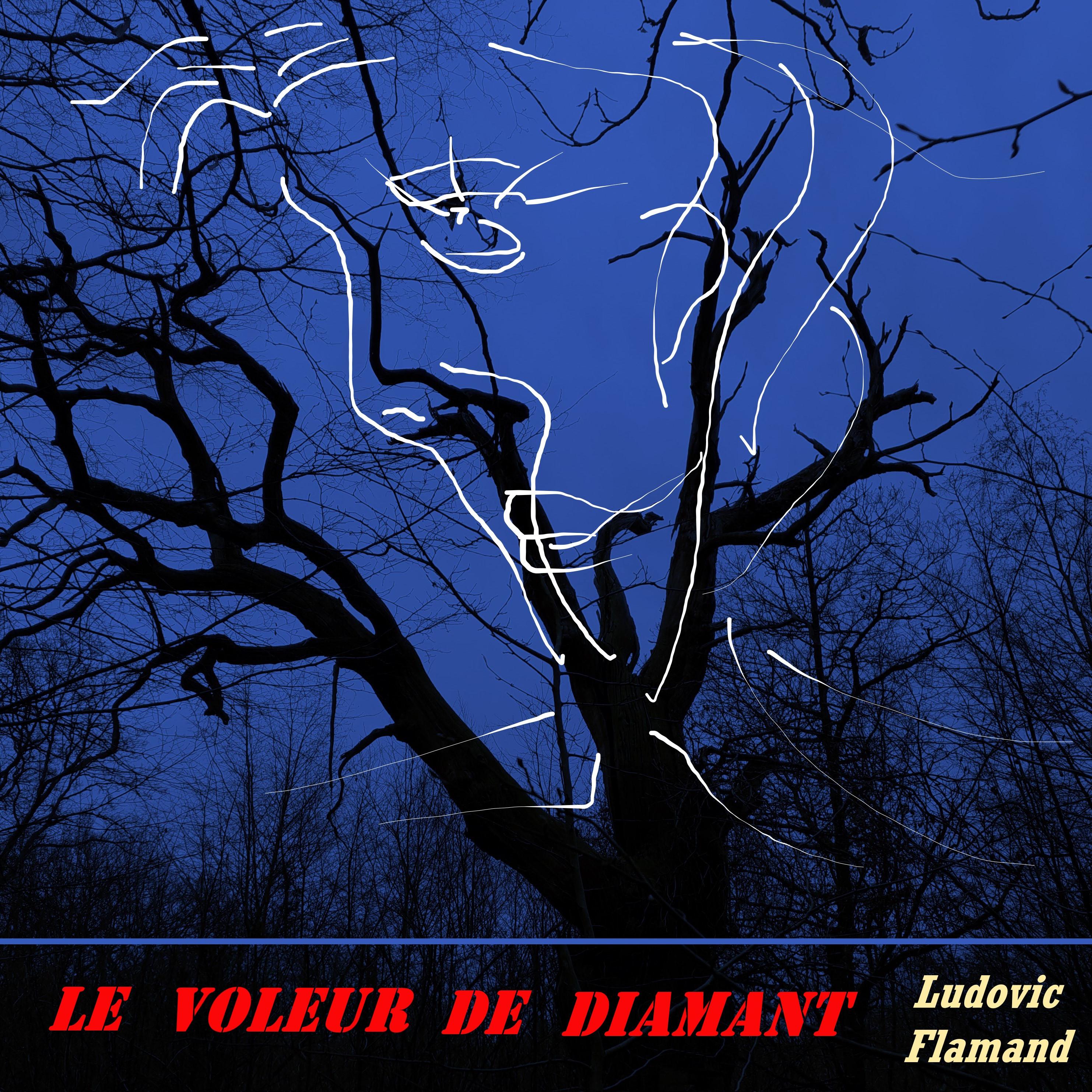 Le Voleur de Diamant (feat. Eva Marchal)