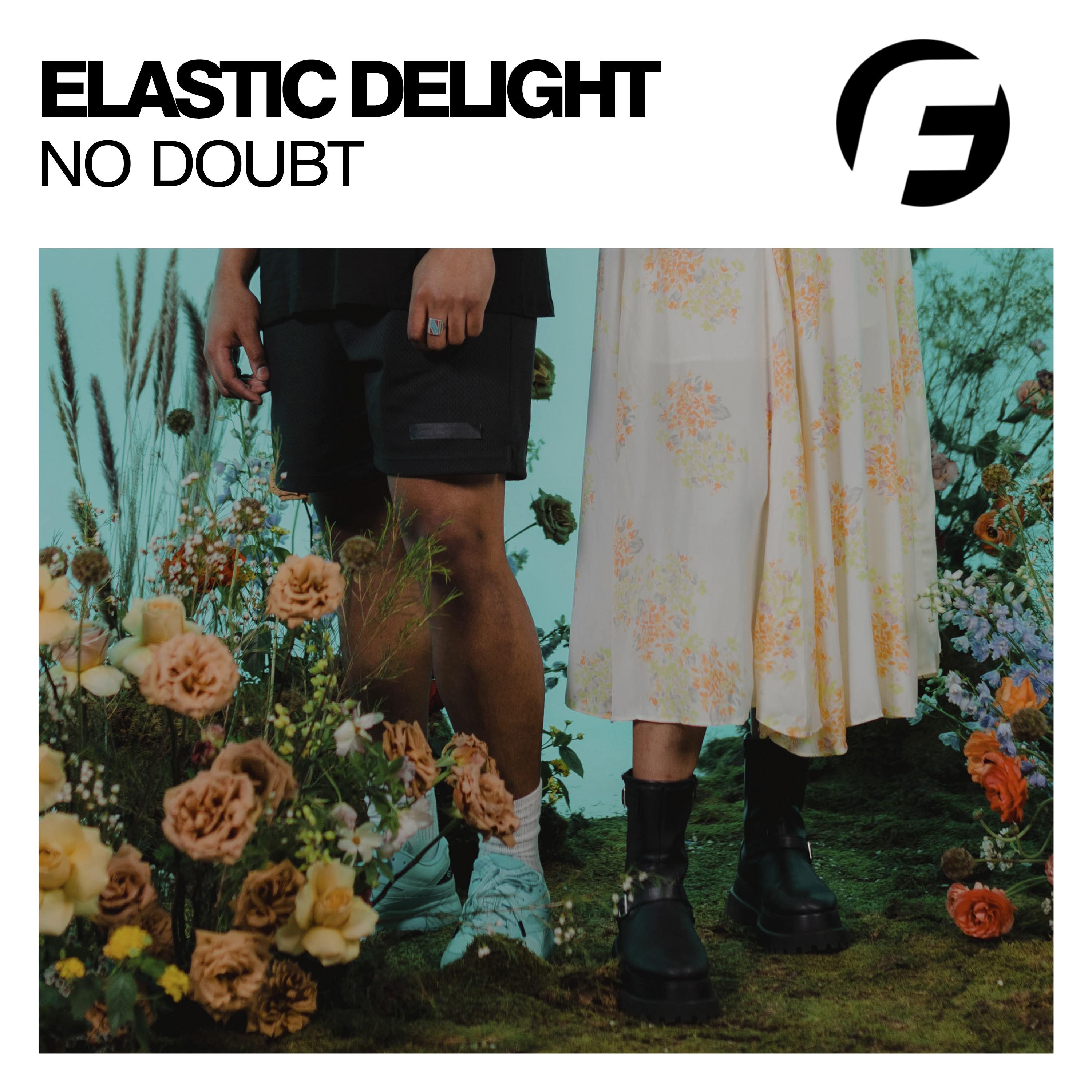 Elastic Delight - No Doubt (Original Mix)