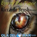 Eye of the Tiger (Remix)专辑