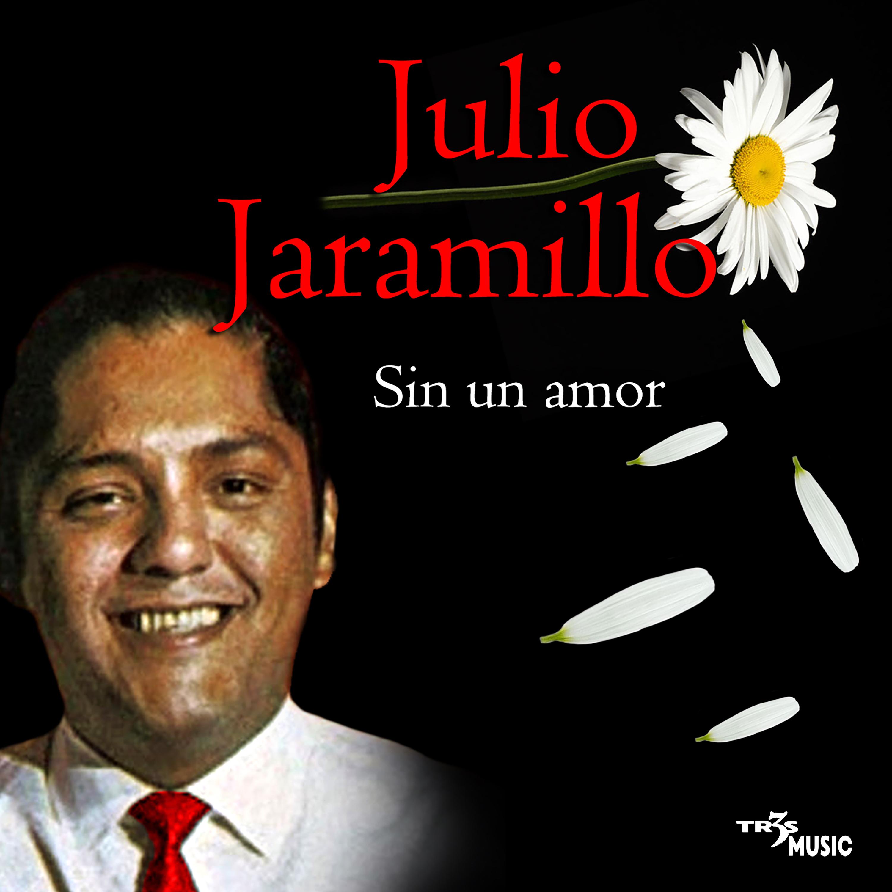 Sin Un Amor