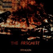 The Arsonist