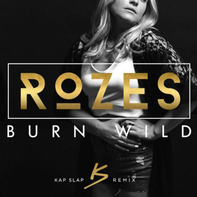 Burn Wild (Kap Slap Remix)专辑