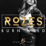 Burn Wild (Kap Slap Remix)专辑