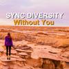 Sync Diversity - Aye