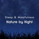 Nature by Night (Sleep & Mindfulness)专辑