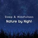 Nature by Night (Sleep & Mindfulness)