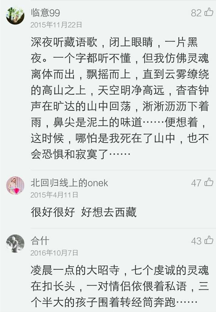 将进酒关栋天的琴曲谱_关栋天袁慧琴(2)