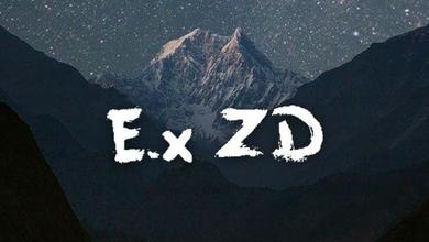 E.x ZD