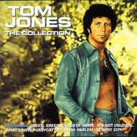 Tom Jones - All By Myself (karaoke)