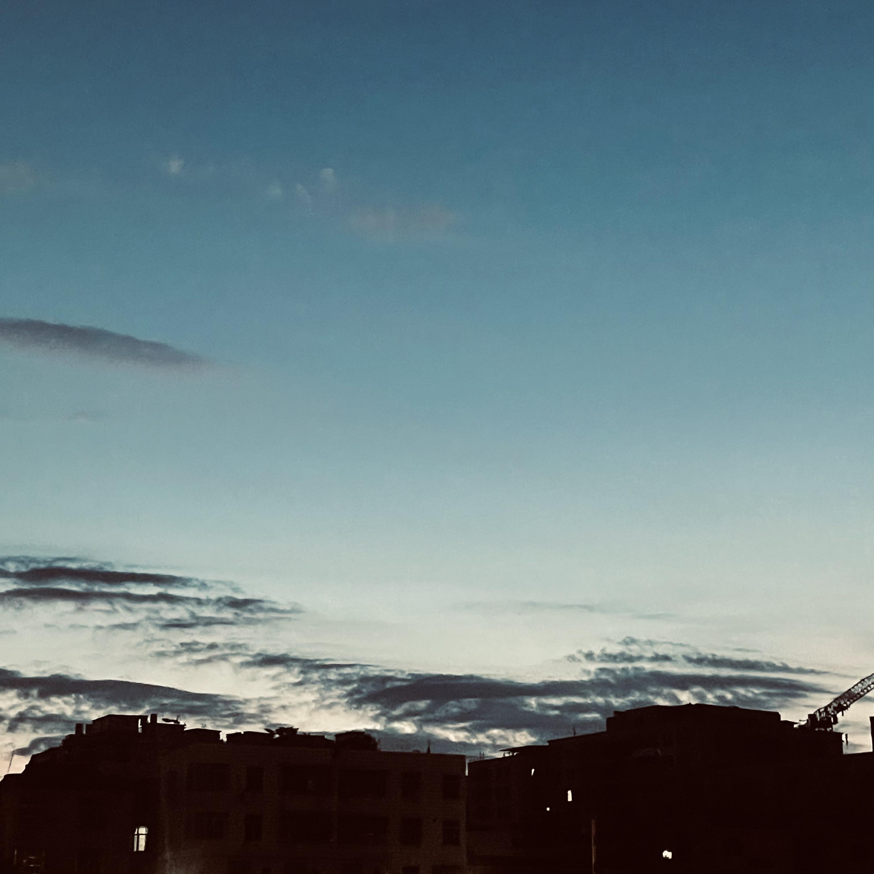 爱情寻踪