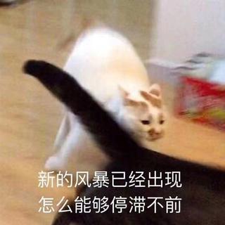 炒鸡适合做vlog的音乐