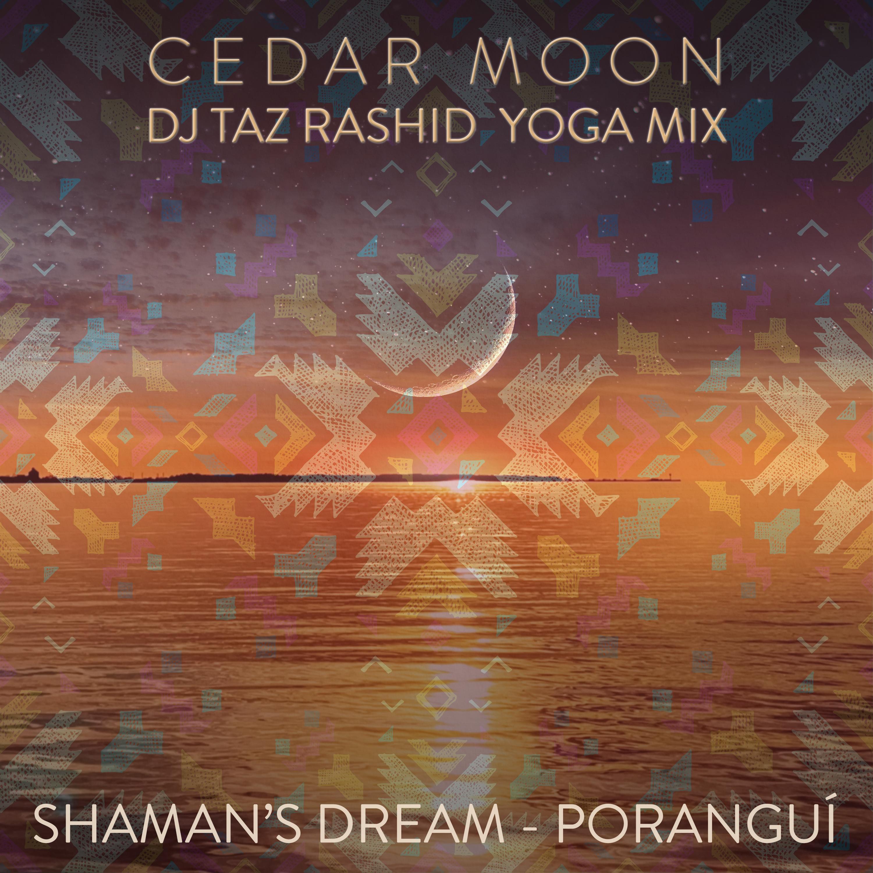Cedar Moon (feat. Eric Zang) [DJ Taz Rashid Yoga Mix]
