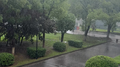 情侣为什么喜欢下雨天走马路中间专辑