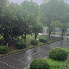 情侣为什么喜欢下雨天走马路中间