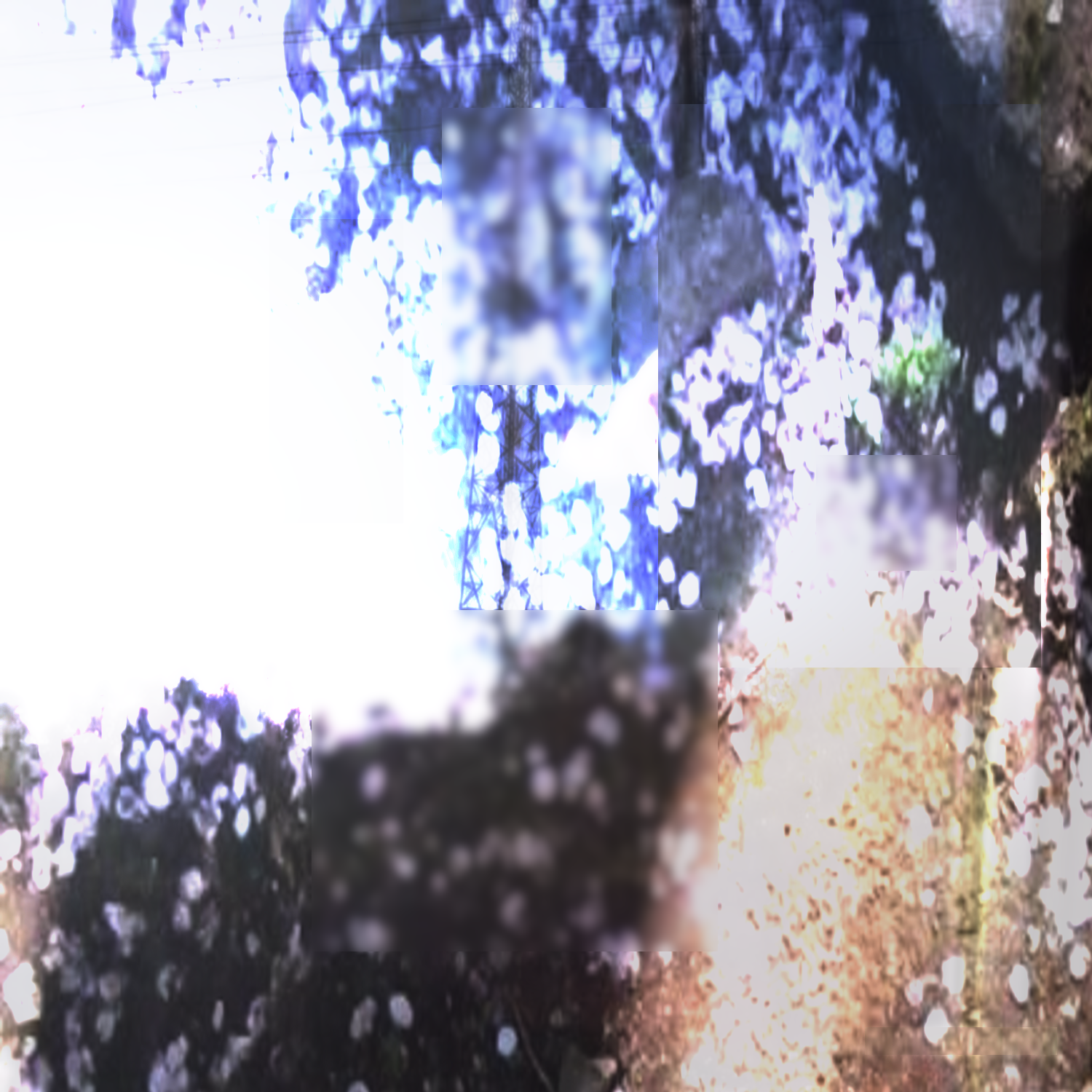 wenn nähe weh tut, aber distanz tödlich ist, nennt man das dann beziehung?