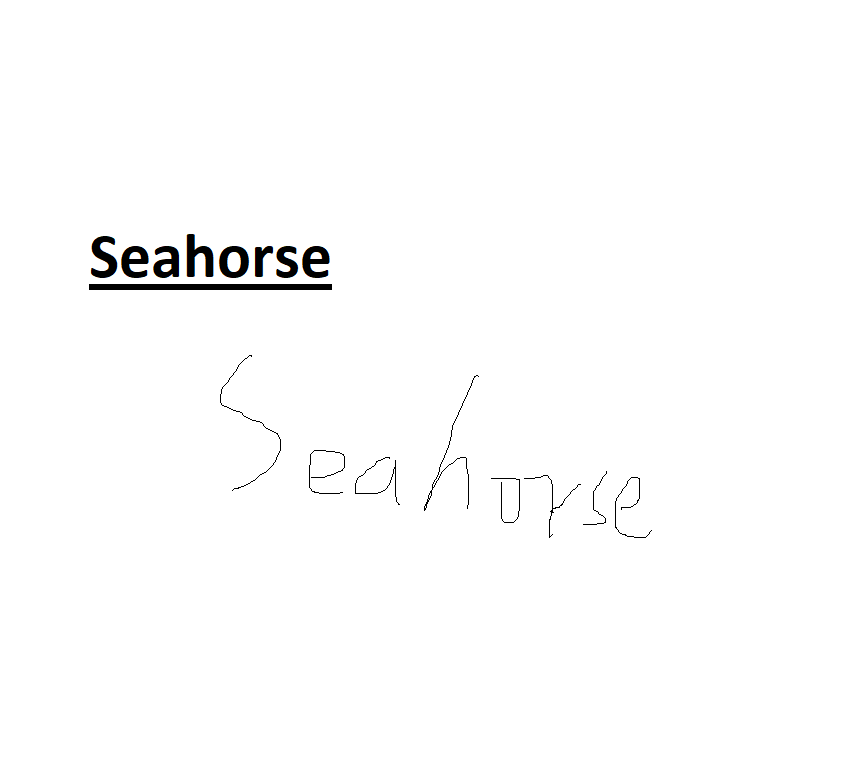 Seahorse专辑