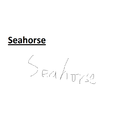 Seahorse