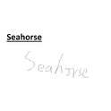 Seahorse专辑