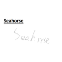 Seahorse专辑