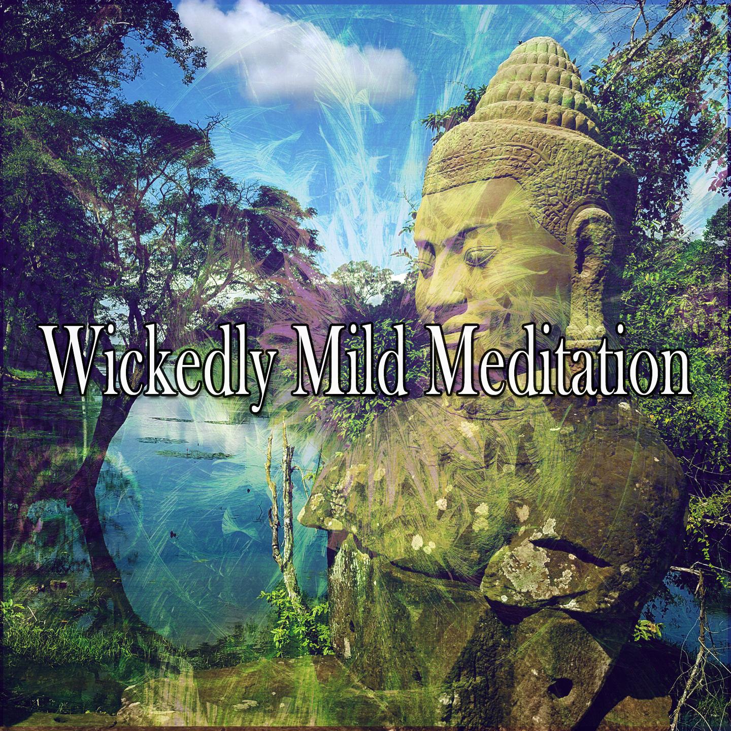 Wickedly Mild Meditation专辑