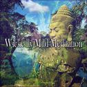 Wickedly Mild Meditation专辑