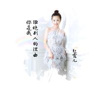 你是我拒绝别人的理由 (DJ版)