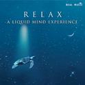 Relax: A Liquid Mind Experience专辑