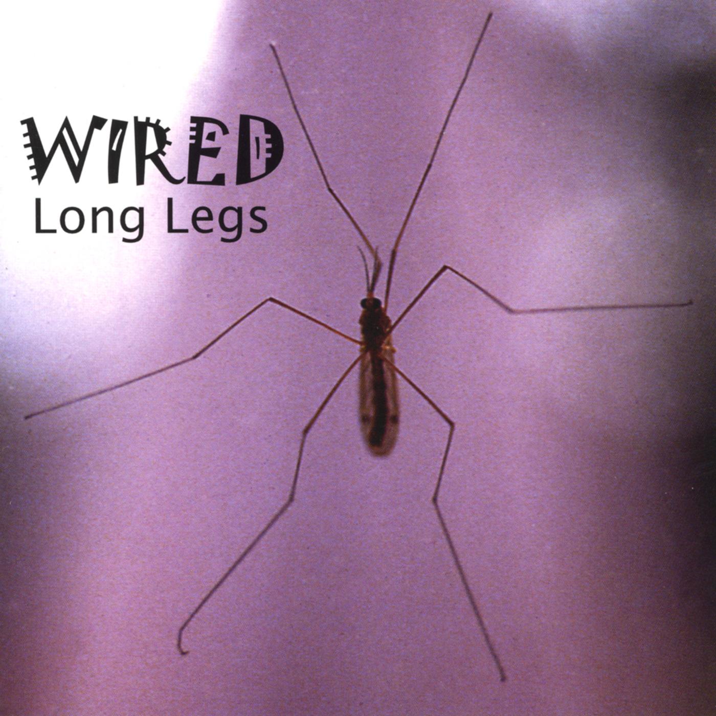 Long Legs