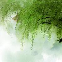 童丽 - 梦江南(原版立体声伴奏)