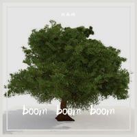 BoomBoomBoom