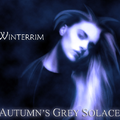 Autumn's Grey Solace