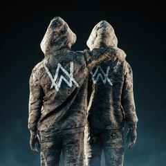 Alan Walker,Sasha Alex Sloan《Hero吉他谱》_音色柔和迷人