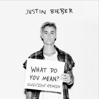 What Do You Mean (Sulvida Remix)