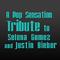 A Pop Sensation Tribute to Selena Gomez and Justin Bieber专辑