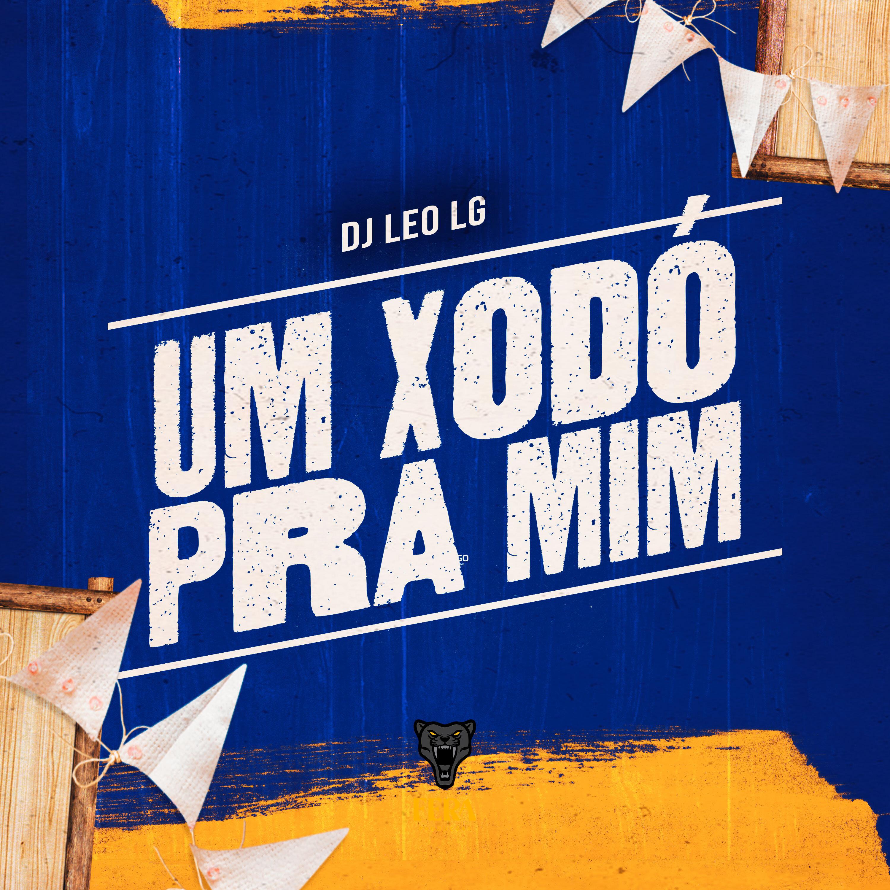 Dj Leo LG - Um Xodó pra Mim