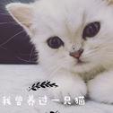 我曾养过一只猫专辑