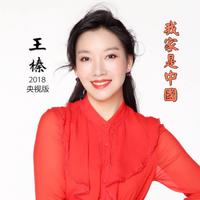 王榛 - 我家是中国 伴奏 2018央视版 高品质