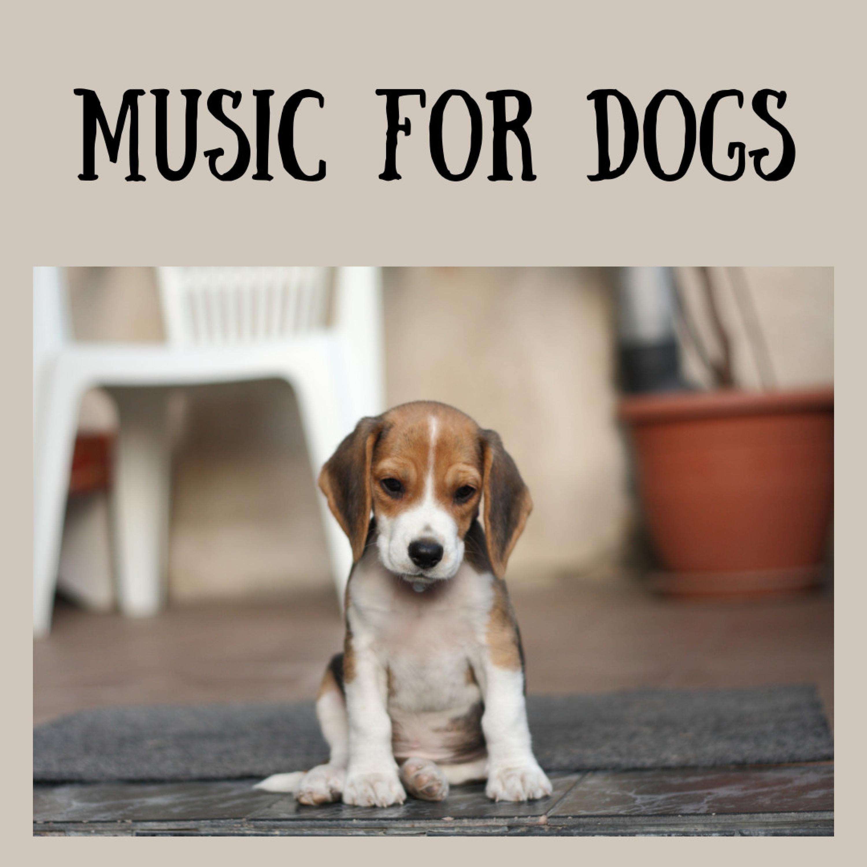 Doggy Jams - Music For Dogs/Music For Dogs Peace/Relaxing Puppy Music ...