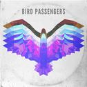 Bird Passengers专辑